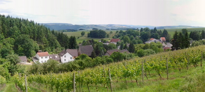 Blick von der Weinbergslage ZIMMERBERG